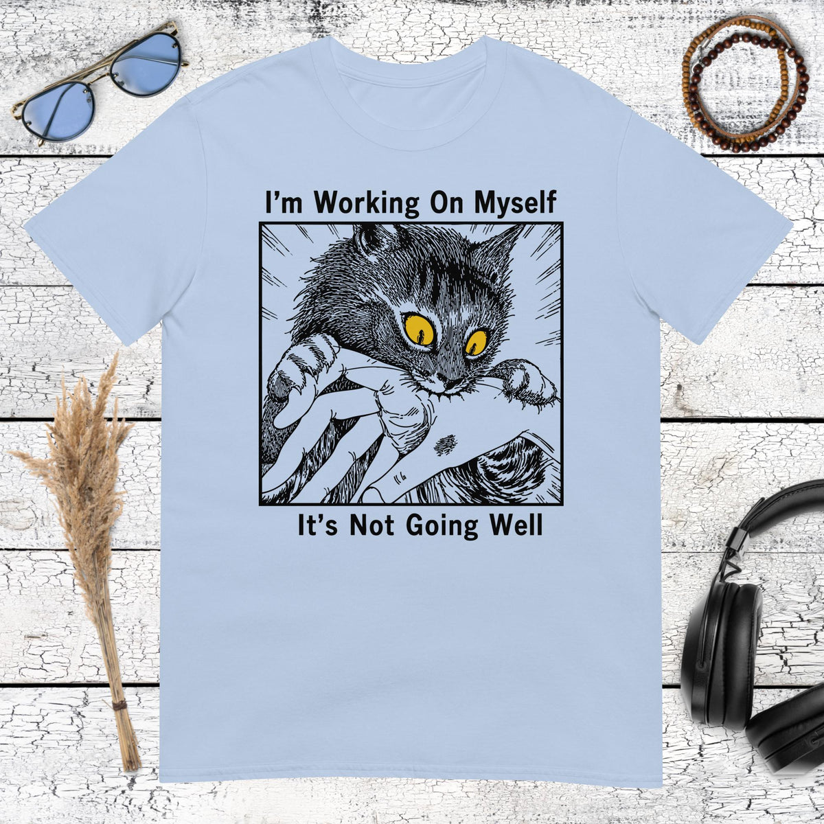 Blue Quote Tee	Sarcastic cat and self improvement quote graphic printed on a light blue t-shirt